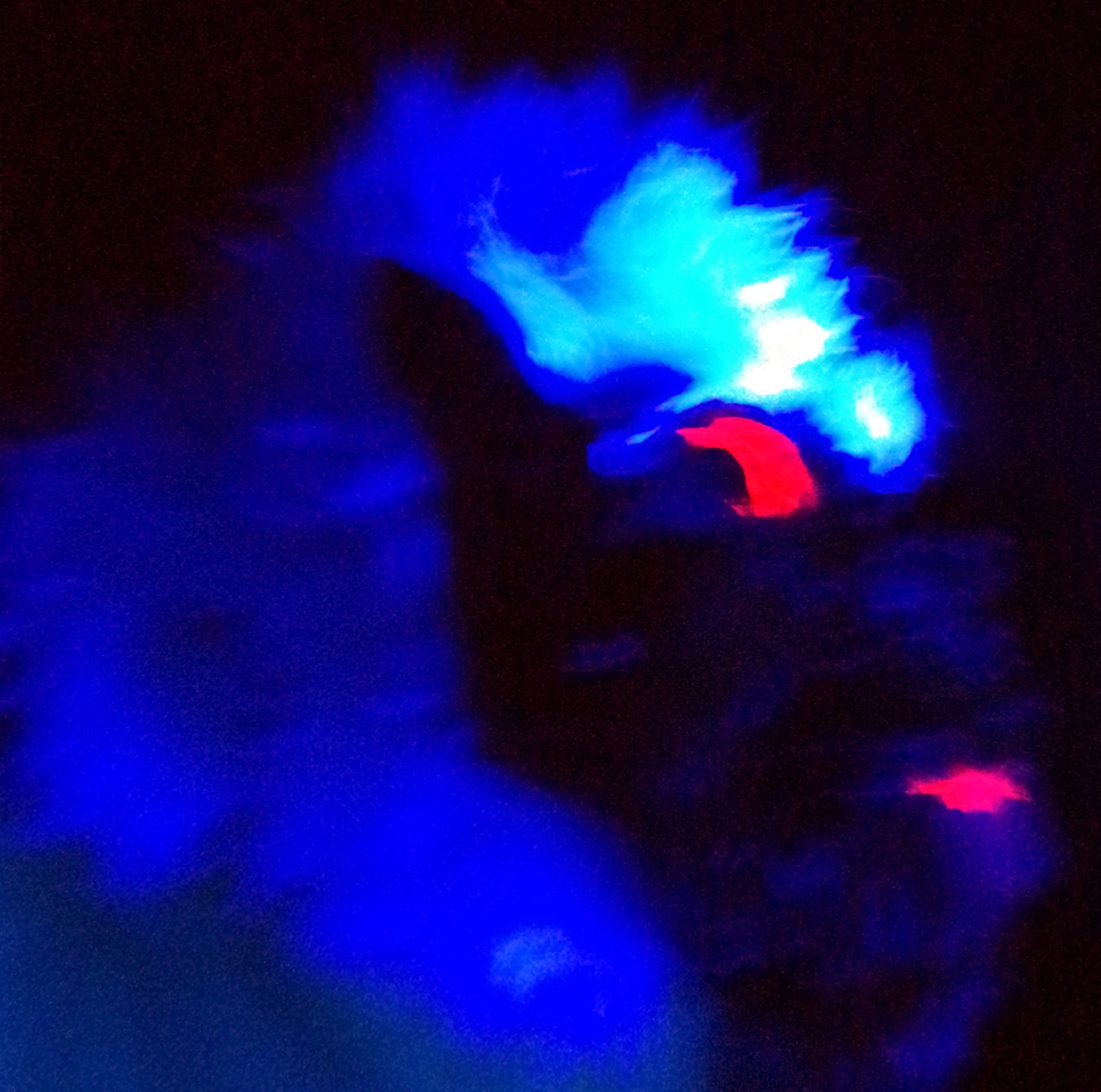 Yeti Mask RARE
