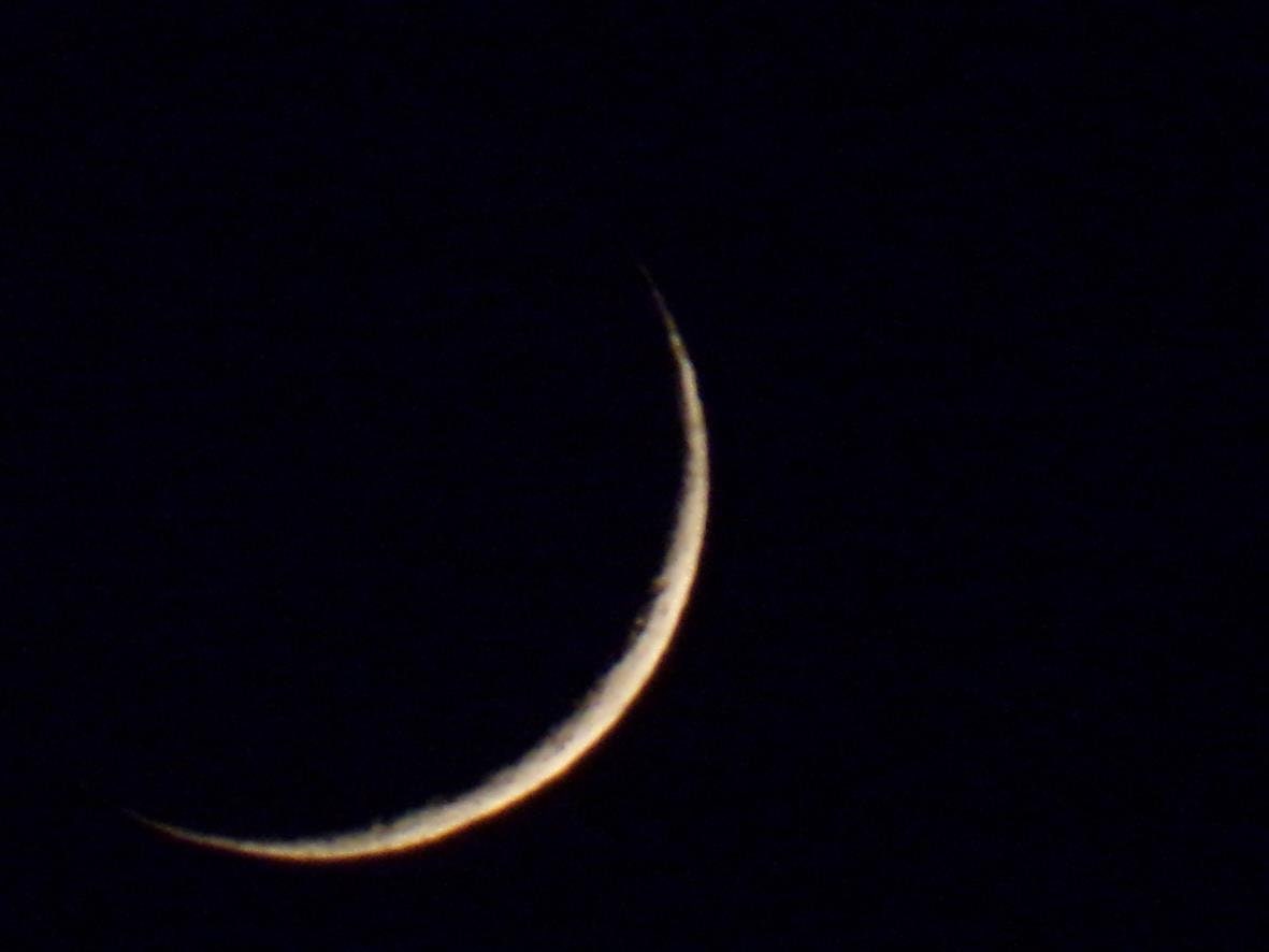 Eclipse Many Moons MANY PHASES Original Art Plus Digital Photos of the Moon