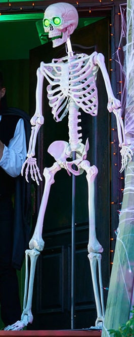 Gimmy Boney Tony Vintage Talking Skeleton