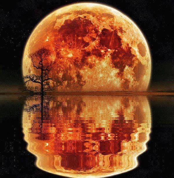 Eclipse Many Moons MANY PHASES Original Art Plus Digital Photos of the Moon
