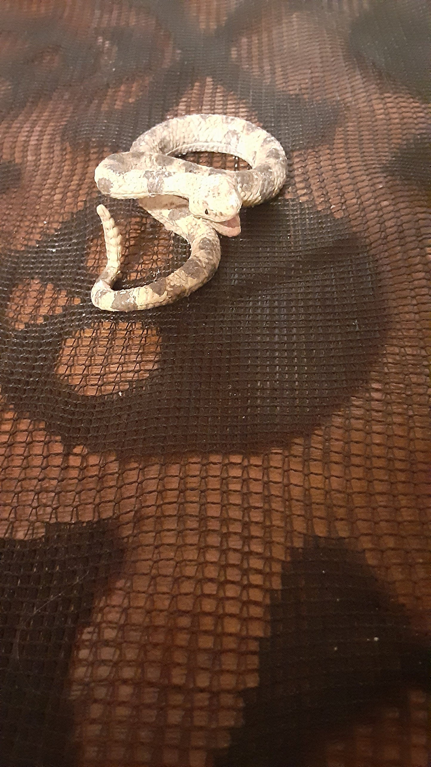 RATTLESNAKE SCULPTURE
