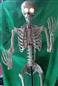 Gimmy Boney Tony Vintage Talking Skeleton