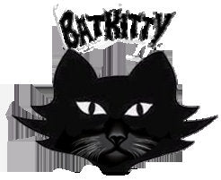 Bat Kitty Mask !