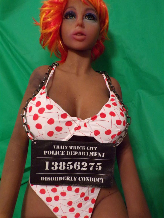 Mugshot Placard Trainwreck City Police