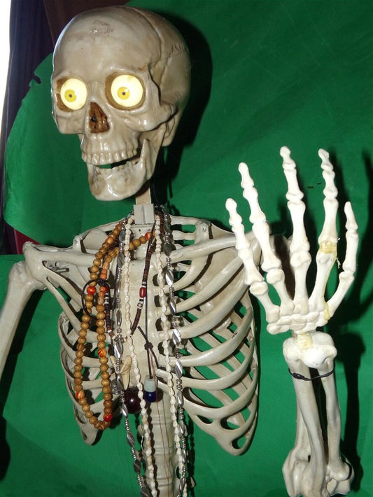 Gimmy Boney Tony Vintage Talking Skeleton