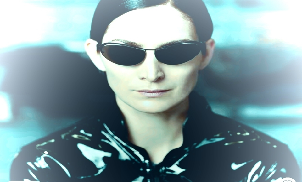 MATRIX Trinity Sunglasses